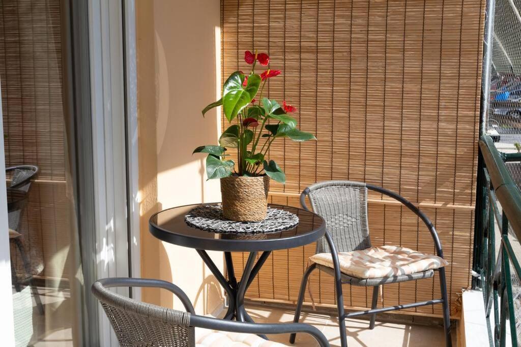 Afrodite'S Cosy And Lovely Apartment Alepou Экстерьер фото